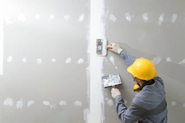 Best Commercial Mold Inspection  in Metairie, LA