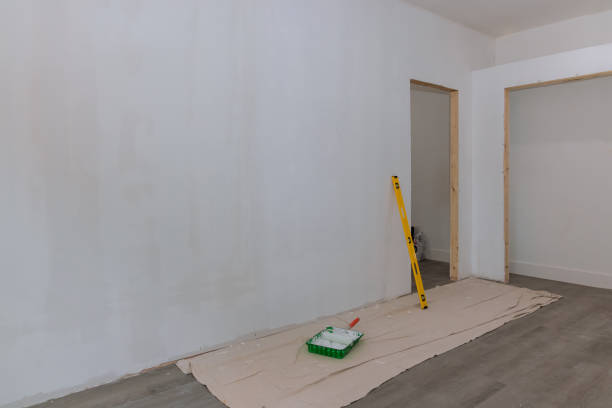 Professional Mold Removal in Metairie, LA