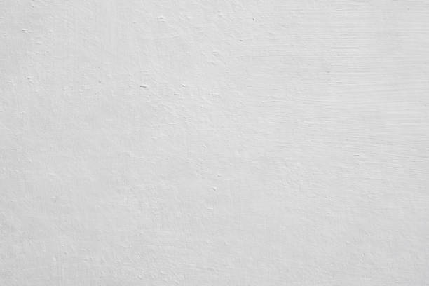 Best Basement Mold Removal  in Metairie, LA